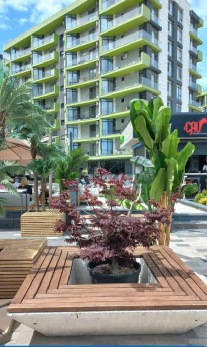 Alezzy Reasort Luxury Apartment 81 Prima Linie La Mare ナボダリ エクステリア 写真
